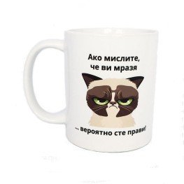 Grumpy Cat Cups for hot drinks 330 ml./ 1 pc. Porcelain cups