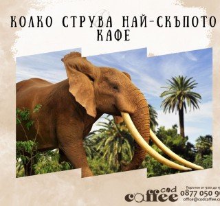 Колко струва най-скъпото кафе