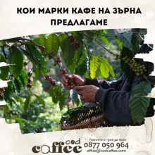 Кои марки кафе на зърна предлагаме Кои марки кафе на зърна предлагаме