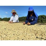 Aroma Brazil Cerrado Goiano 0.250 кг - Премиум кафе на зърна