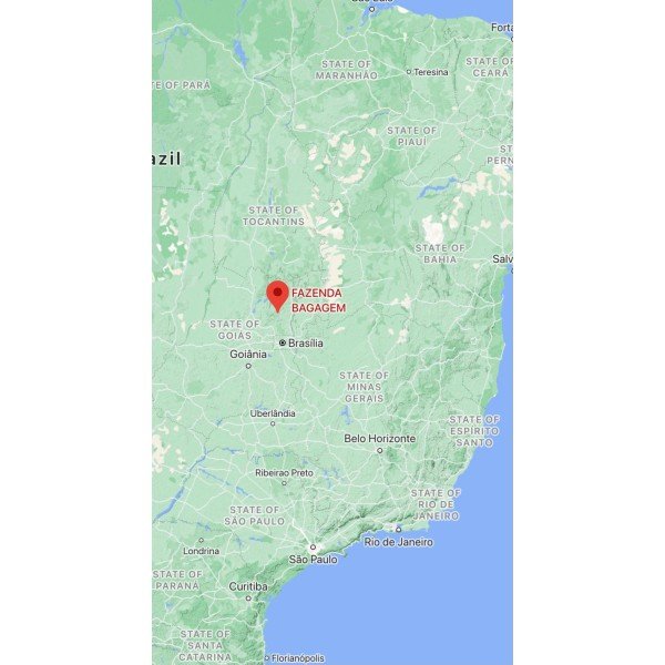 Aroma Brazil Cerrado Goiano 0.250 кг - Премиум кафе на зърна