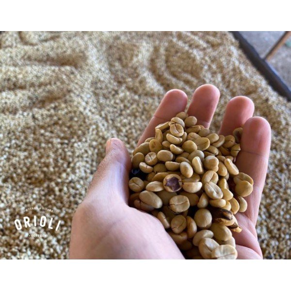 Aroma Brazil Cerrado Goiano 0.500 кг - Премиум кафе на зърна