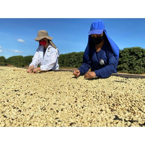 Aroma Brazil Cerrado Goiano 0.500 кг - Премиум кафе на зърна