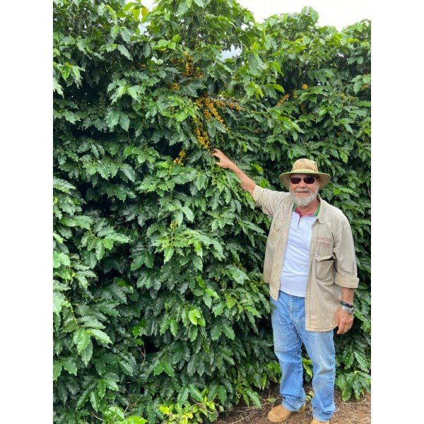 Aroma Brazil Cerrado Goiano 0.500 кг - Премиум кафе на зърна