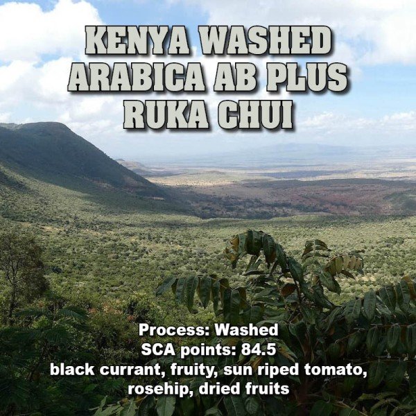 Aroma KENYA WASHED ARABICA AB PLUS RUKA CHUI 0.500 кг - Aroma KENYA WASHED ARABICA AB PLUS RUKA CHUI 0.500 кг Aroma Kenya Miti Arabica AB Plus Ruka Chewy 0.500 кг е истинска наслада за сетивата. Това кафе се отглежда в малки ферми, където внимателно се ко Aroma KENYA WASHED ARABICA AB PLUS RUKA CHUI 0.500 кг - Премиум кафе на зърна