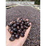 Aroma Costa Rica Esperanza 0.500 кг - Премиум кафе на зърна