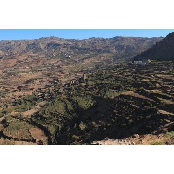 Aroma Yemen Wadi Al Mahjar 0.250 кг - Aroma Yemen Wadi Al Mahjar 0.250 кг Ароматът на Aroma Yemen Wadi Al Mahjar е уникално преживяване, което ще ви пренесе в далечни земи с богата история на кафето. Този специален сорт от региона Ал Хайма в Йемен е Aroma Yemen Wadi Al Mahjar 0.250 кг - Премиум кафе на зърна