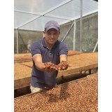 Aroma Costa Rica Los Campos 0.250 кг - Премиум кафе на зърна