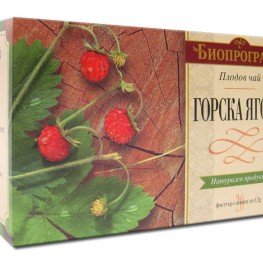 Bioprograma tea Wild Strawberry Premium 20pcs