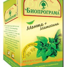 Bioprograma tea Mint and Lemon Balm Premium 20pcs